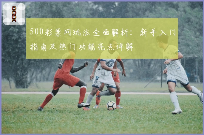 500彩票网玩法全面解析：新手入门指南及热门功能亮点详解