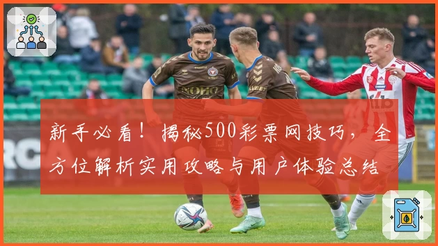 新手必看！揭秘500彩票网技巧，全方位解析实用攻略与用户体验总结
