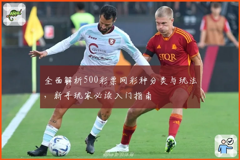 全面解析500彩票网彩种分类与玩法,新手玩家必读入门指南