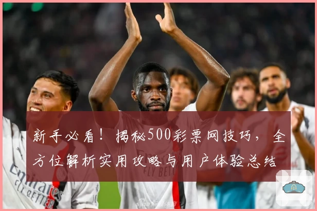 新手必看！揭秘500彩票网技巧，全方位解析实用攻略与用户体验总结